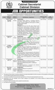 Cabinet Division Jobs