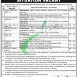 Govt of Sindh Jobs