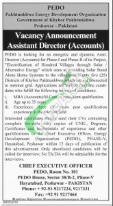 Pakhtunkhwa Energy Development Organization Jobs