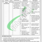 Lyari Development Authority Jobs