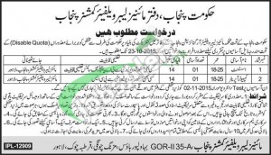 Mines Labour Welfare Department Punjab Jobs