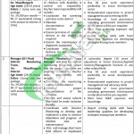 Special Education Department Punjab Jobs