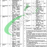 Health Department Punjab Jobs