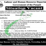 Labour & Human Resource Department Punjab Jobs