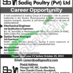 Sadiq Poultry Jobs