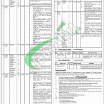 LCWU Jobs