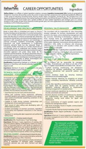 Rafhan Maize Jobs