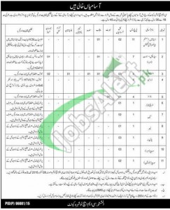 CMH Nowshera Jobs