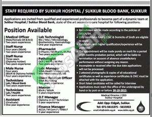 Sukkur Hospital / Sukkur Blood Bank Jobs