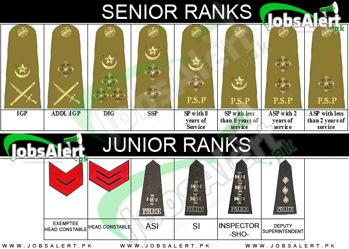 Military Police Pay Chart