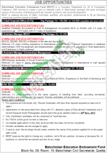 Balochistan Education Endowment Fund Jobs