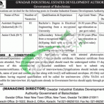 Gwadar Industrial Estate Development Authority Jobs 