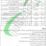 PHA Faisalabad Jobs