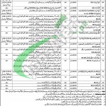 Health Department Narowal Jobs