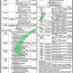 Punjab Police Jobs