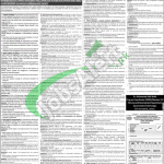 Planning & Development Department Punjab Jobs