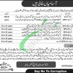 KPK Government Jobs