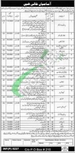 KPK Govt Jobs