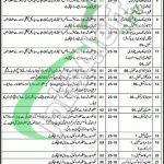 Health department Jobs