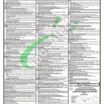 PDMA Jobs