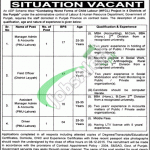 Labour & Human Resource Department Punjab Jobs