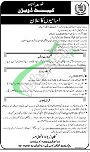 Cabinet Division Jobs