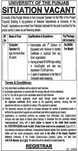 Punjab University Jobs