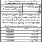 Directorate General Health Services KPK Jobs 