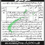 Lissaail-e-Wal Mahroom Foundation Jobs