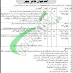 Council Islamic Ideology Jobs