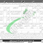 Public Sector Organization Peshawar Jobs 