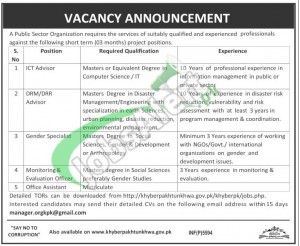 Public Sector Organization Jobs