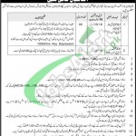 BISE Quetta Jobs