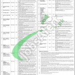 Hayatabad Medical Complex Peshawar Jobs