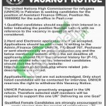 UNHCR Jobs