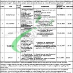 Excise & Taxation Punjab Jobs