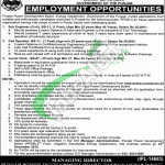 Energy Department Punjab Jobs