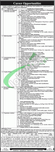 Public Sector Organization Jobs