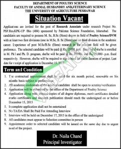 Agriculture University Peshawar Jobs