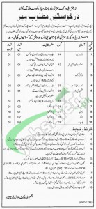 Career Opportunities in Advocate General High Court Building ,Quetta