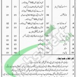 Career Opportunities in Advocate General High Court Building ,Quetta