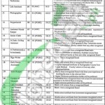 Career opportunities in Ameer-udiDin Medical College, Lahore, Pakistan