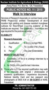 Walkin Interviews in Nuclear Institute for Agriculture & Biology