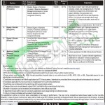 Punjab Education Foundation Jobs