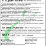 Recruitment Opportunities in Saremco Technology Private Limited for IT Support Officer, Sr Web Developer, SEO Expert