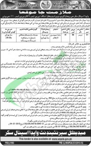 Wapda Hospital Jobs Sukkur