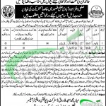 Population Welfare Department Jobs