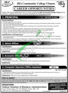 IBA Sukkur Jobs