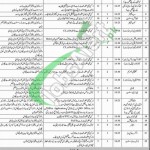 Mines Labour Welfare Organization Jobs