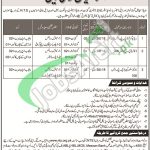 WAPDA Jobs